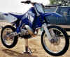 cg-yz250-right.jpg (95727 bytes)