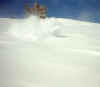 ski.jpg (199689 bytes)